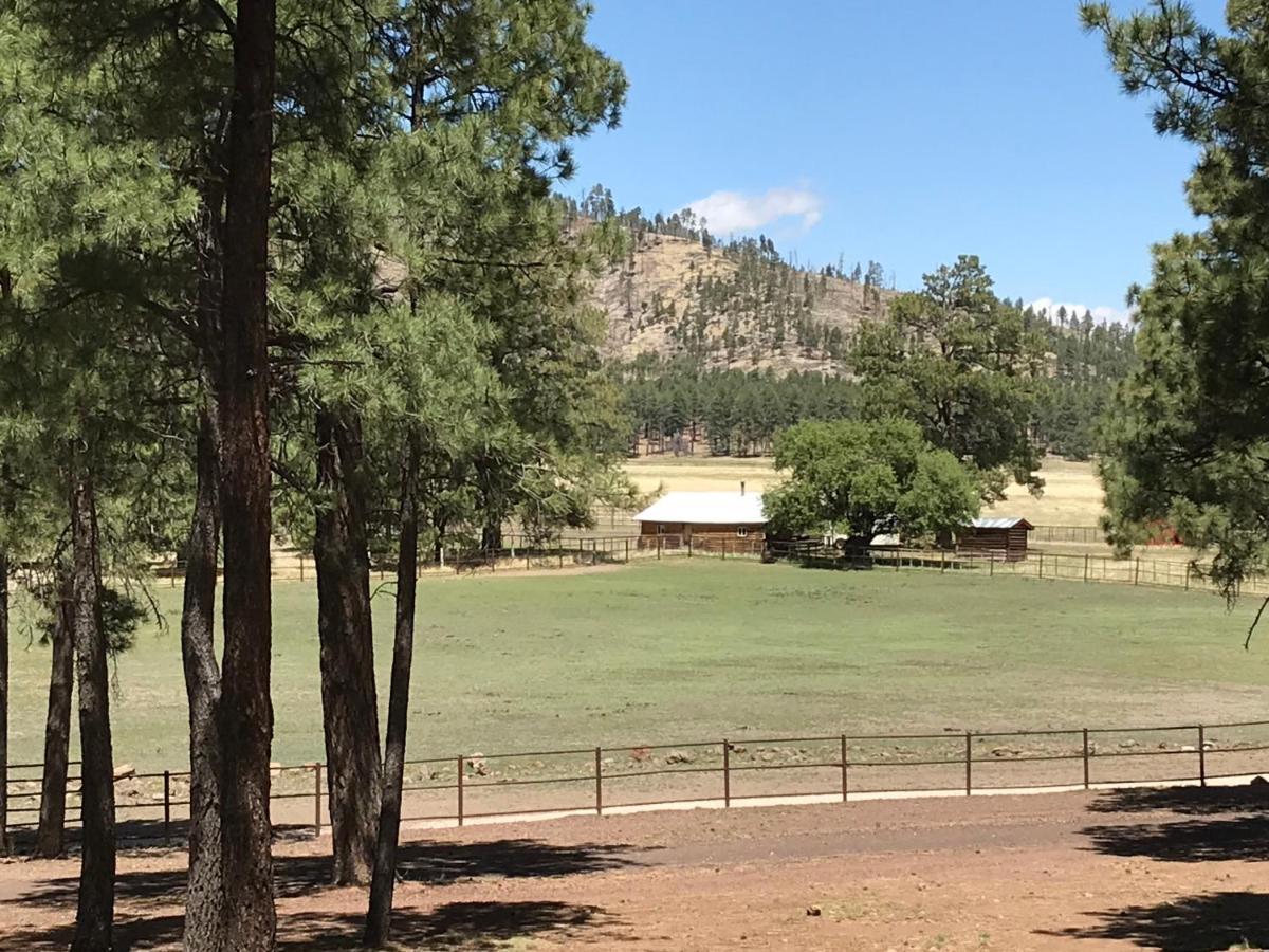 Grand Canyon 1Bd Loft/Suite-Horseback Riding-Shooting-Dogs Ok! Parks المظهر الخارجي الصورة