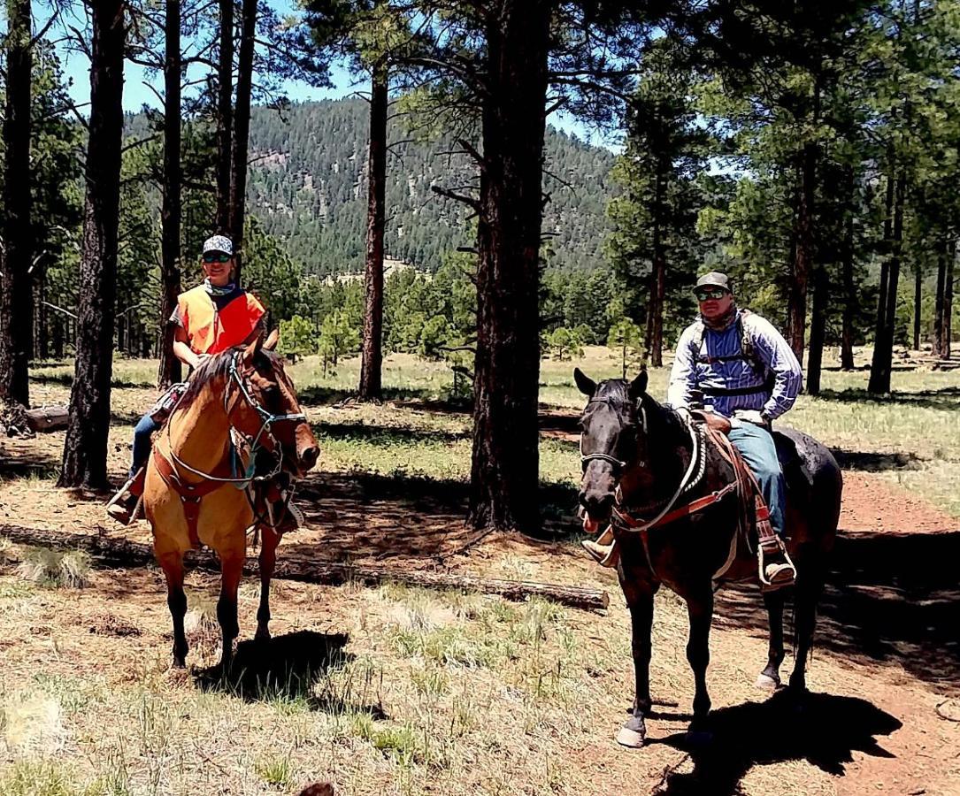 Grand Canyon 1Bd Loft/Suite-Horseback Riding-Shooting-Dogs Ok! Parks المظهر الخارجي الصورة